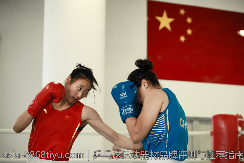乒乓球运动器材品牌评测与推荐指南