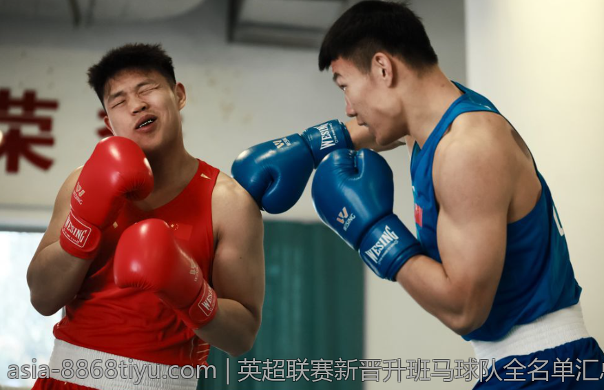 英超联赛新晋升班马球队全名单汇总