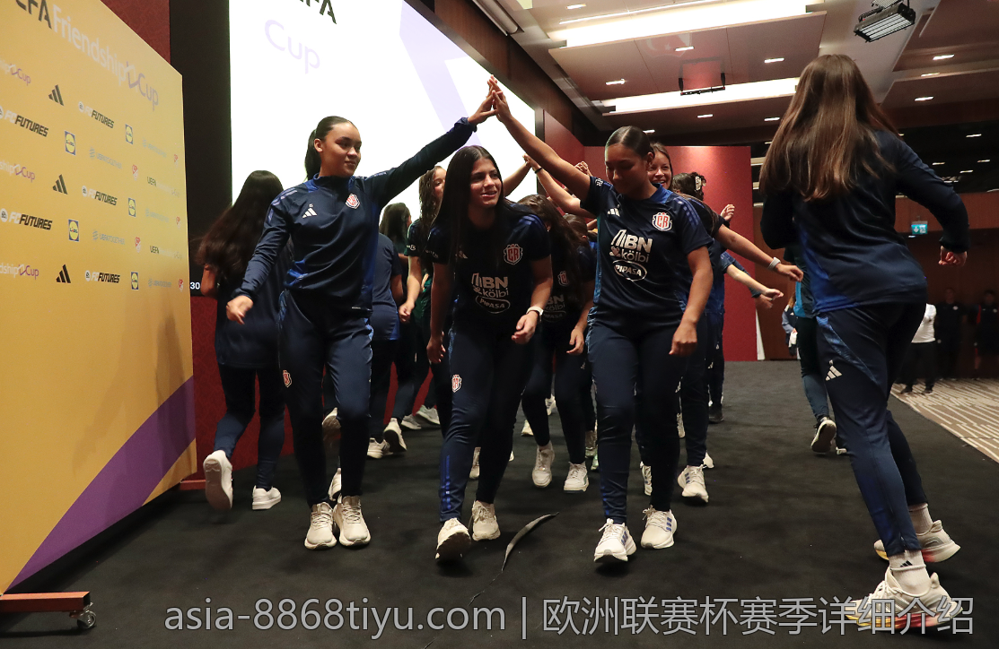 欧洲联赛杯赛季详细介绍